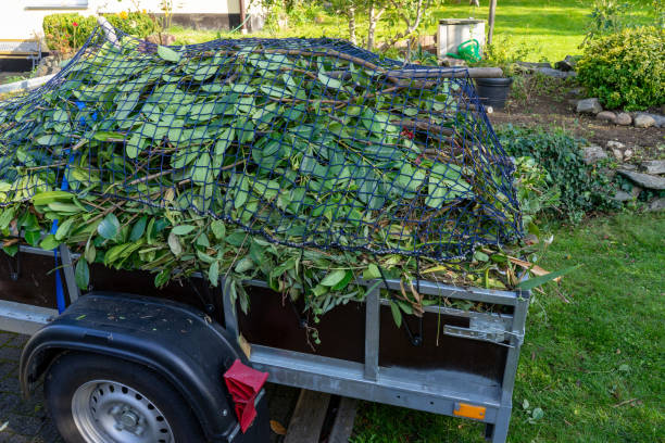 Best Furniture Removal  in Burkesville, KY